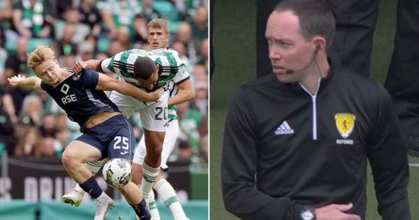 Wasp at Celtic game stings official who has to get medical help in bizarre incident