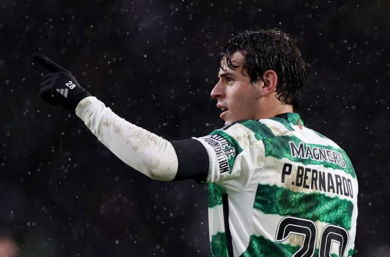 Watch: Paulo Bernardo Mirrors The Celtic Support With Show of Frustration