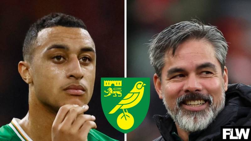 Adam Idah’s Celtic exploits will be bittersweet for Norwich City fans