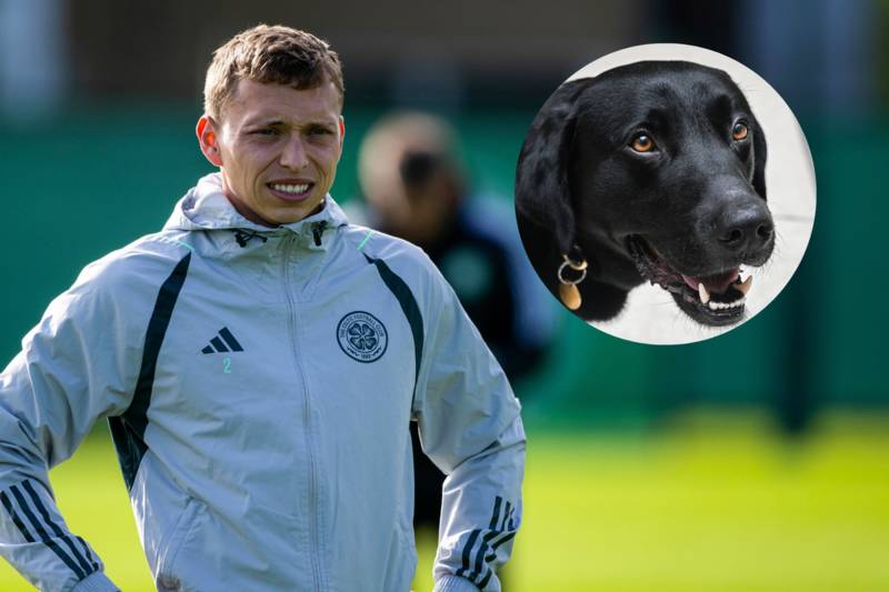 Walks with black Labrador dog helping Celtic defender deal with run-in