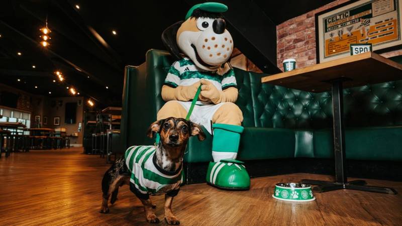 Sports Bar at Celtic Park now dog friendly on non-matchdays