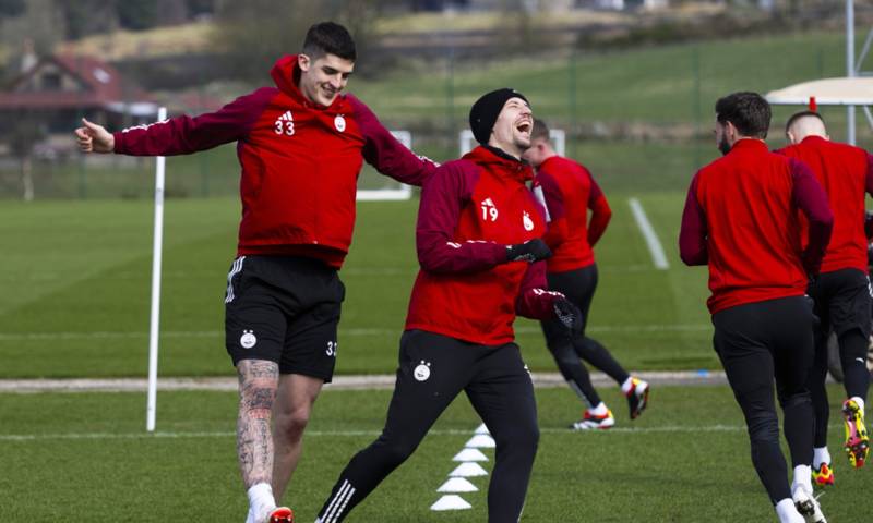 Aberdeen boost as Slobodan Rubezic set to return for Scottish Cup semi-final