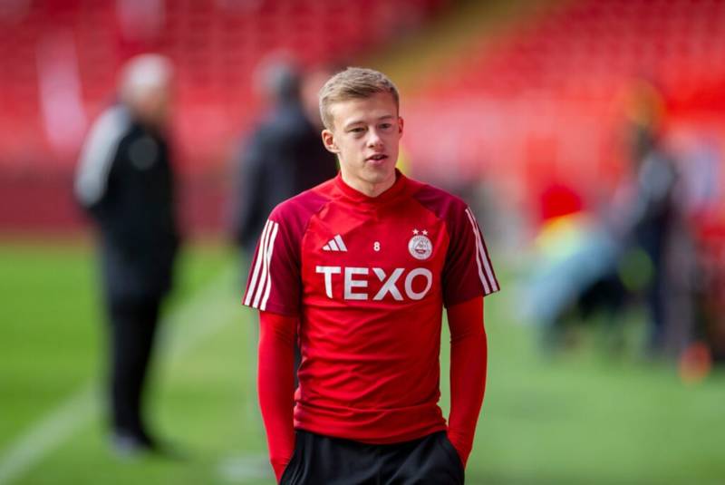 Pundit Can See Why Celtic Would Sign Young Scottish Midfielder