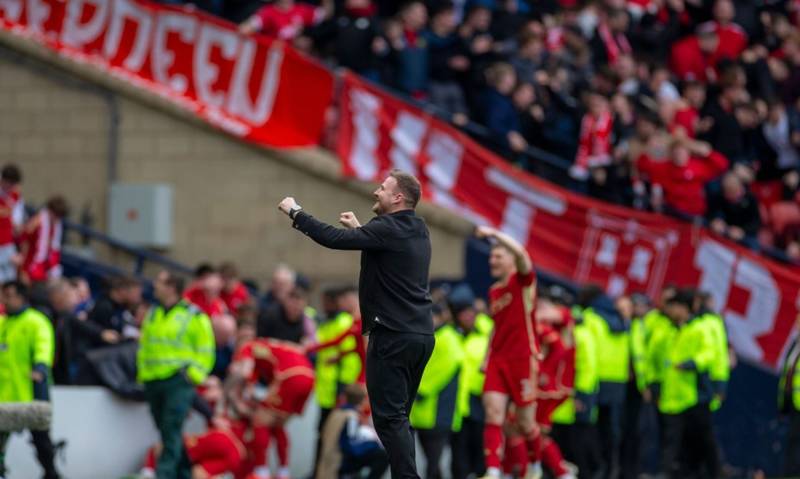 Aberdeen fan view: Plenty of pride in defeat for the Dons