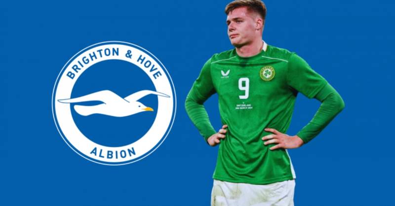 Ex-Celtic Man Reveals Brighton's Bizarre Use Of Evan Ferguson During Training