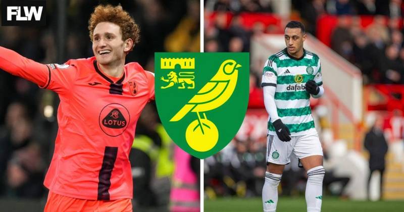 Norwich City: Celtic, Adam Idah work means he is Josh Sargent succession plan