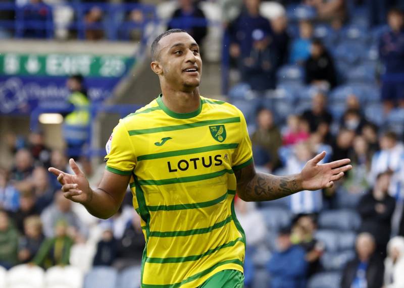 ‘Important’: Idah to Celtic directly addressed by Norwich City manager